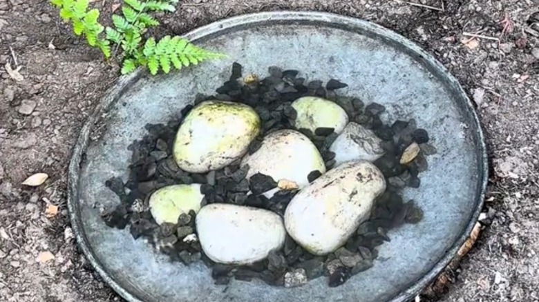 close up of a bird bath made with a metal bin lid