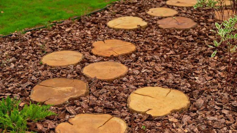 Garden pathway with wood slices