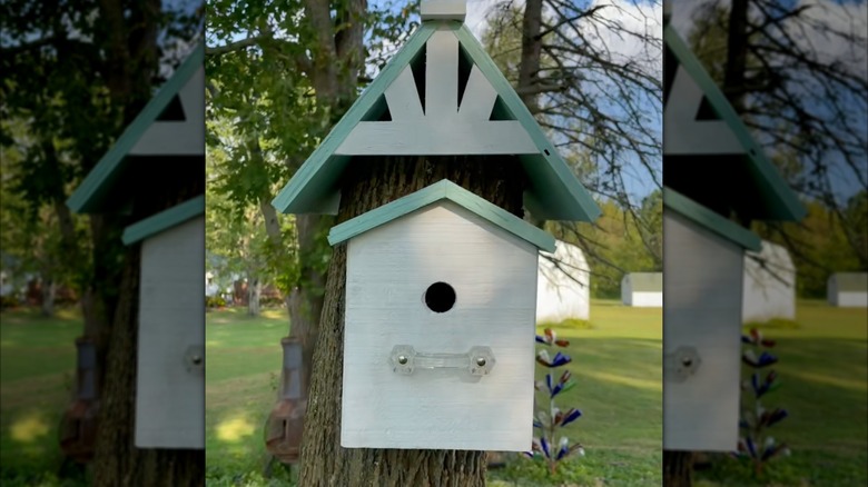 DIY birdhouse attached to a stump
