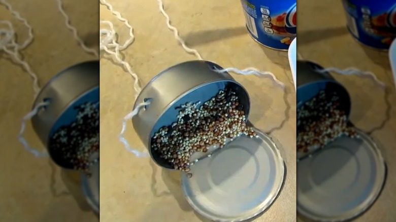 A DIY bird feeder made from tuna can