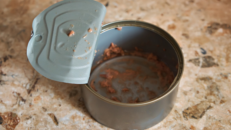 Turn An Old Tuna Can Into A Simple Hanging Bird Feeder Solution