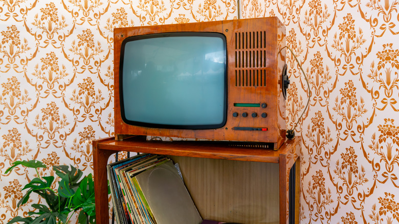 Turn An Old TV Monitor Into The Cutest Indoor Plant Display