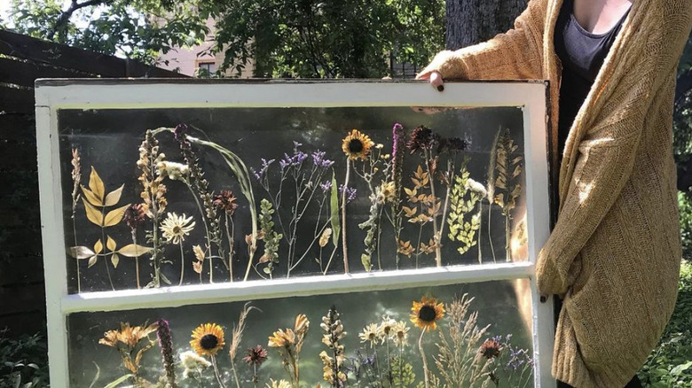 Dried flower art on old window