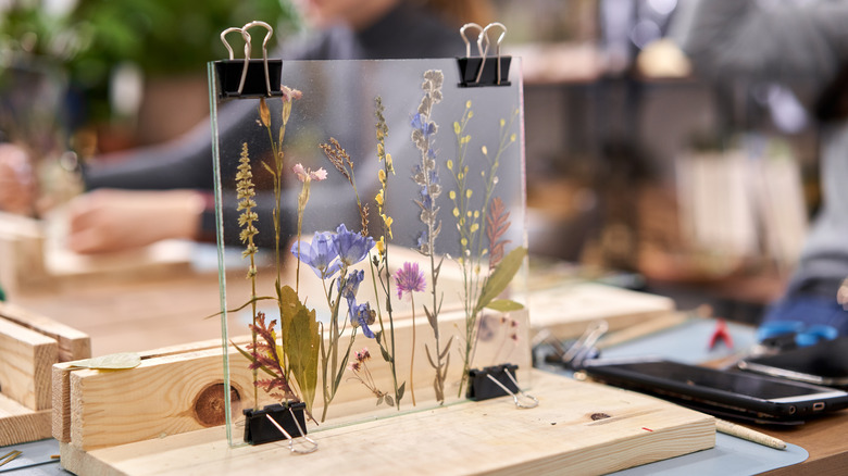 floral pressings in glass panes