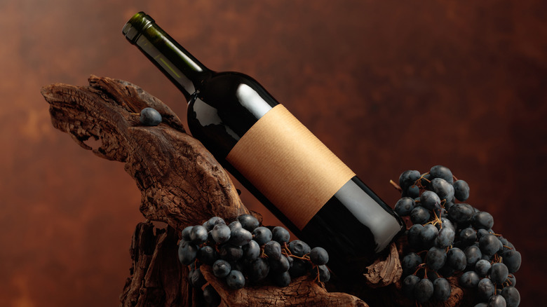 An empty dark green wine bottle surrounded by dark grapes leaning against a piece of driftwood