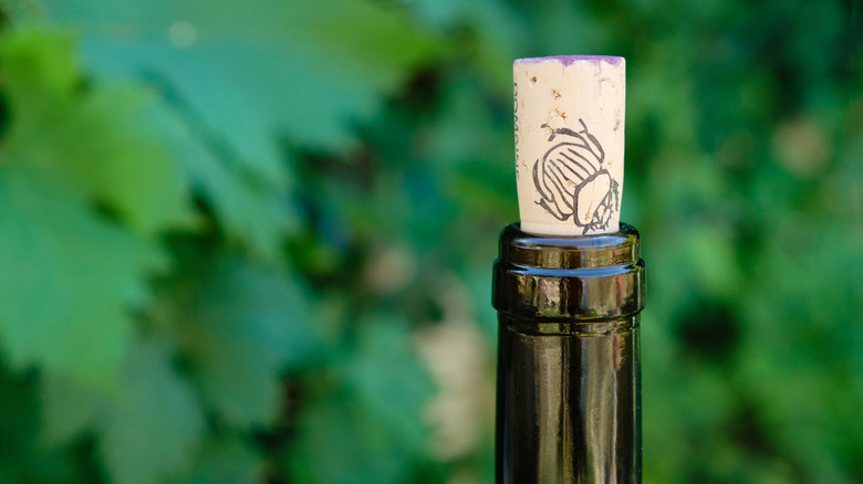 a cork in a bottle outside