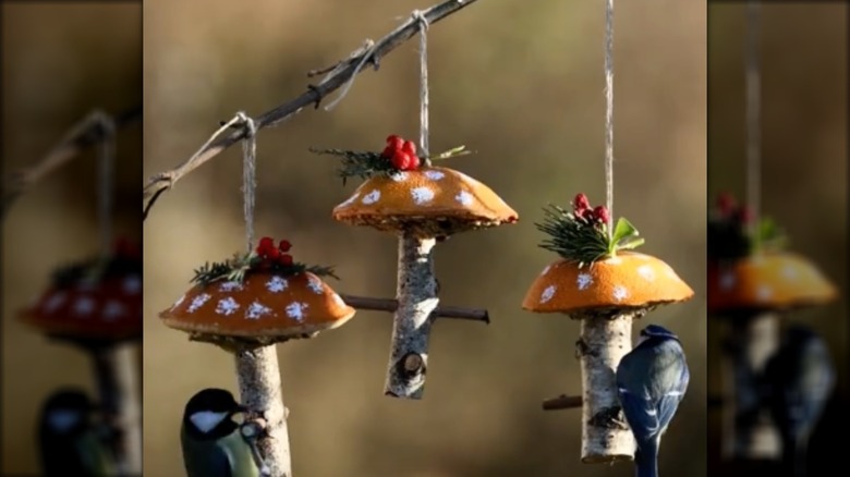 mushroom-shaped DIY bird feeders