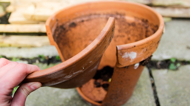 Person holding piece of broken terracotta pot.