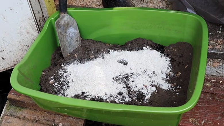 Demonstration of DIY chicken dust bath