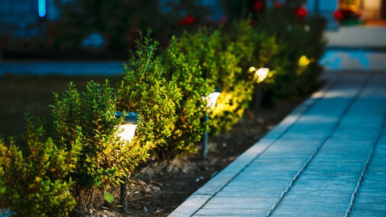 Solar garden lights at night.
