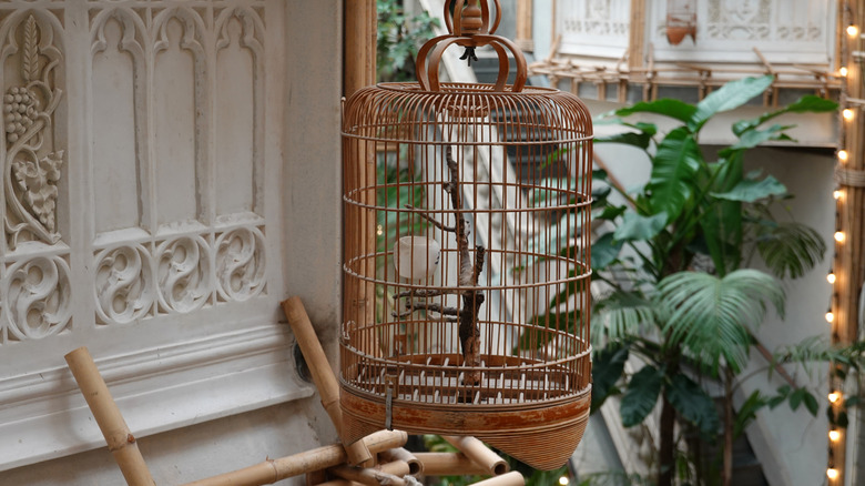 A vintage birdcage that contains decorative elements.