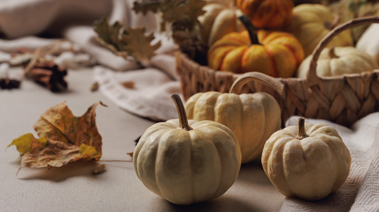 A basket of decorative pumpkins on a table