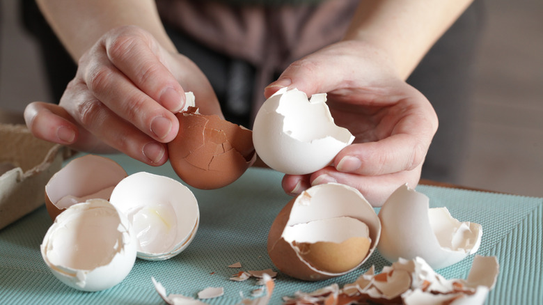 Two hands hold white and brown eggshell halves above a teal table covered in broken eggshells.