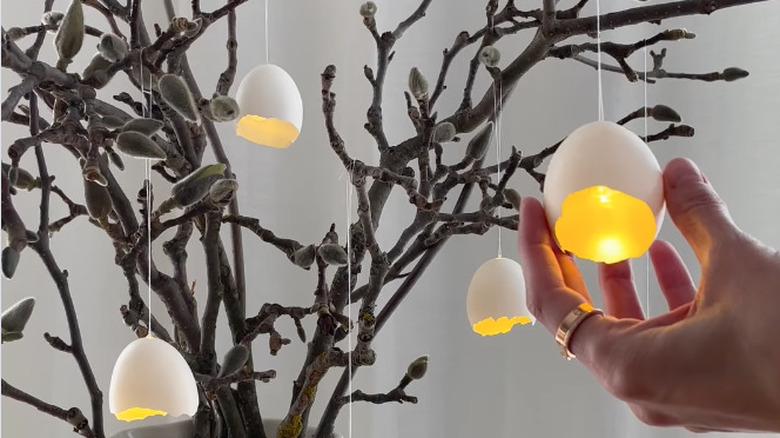 Broken eggshells with lights inside hanging on a houseplant