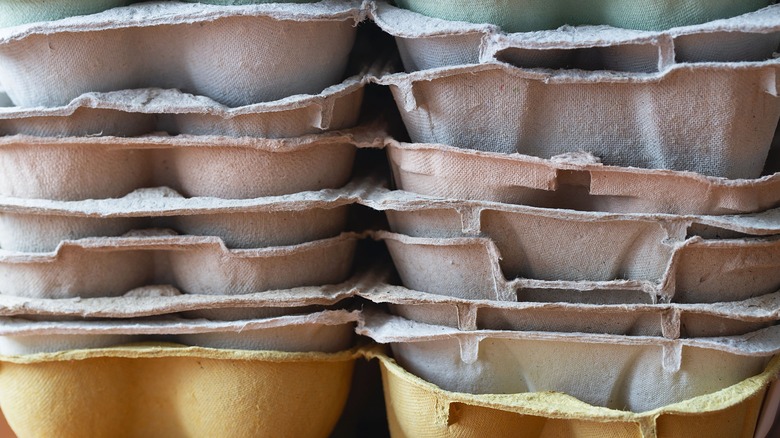 Stack of empty egg cartons