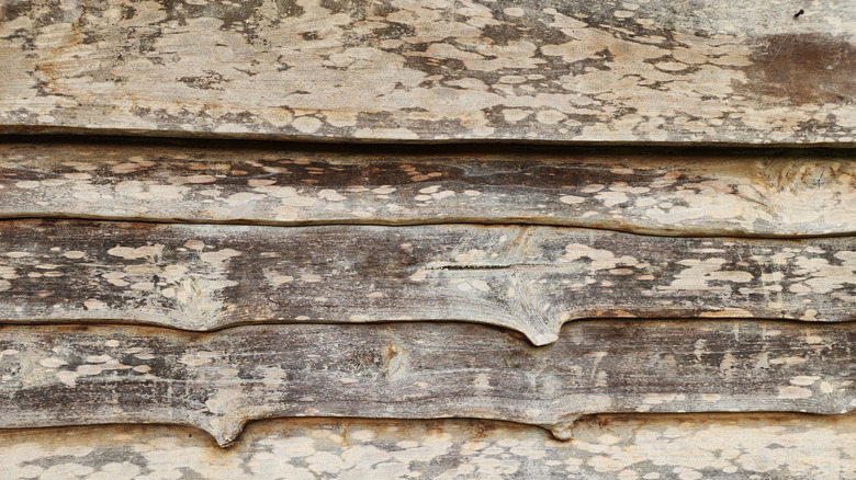 close up of rustic scrap wood