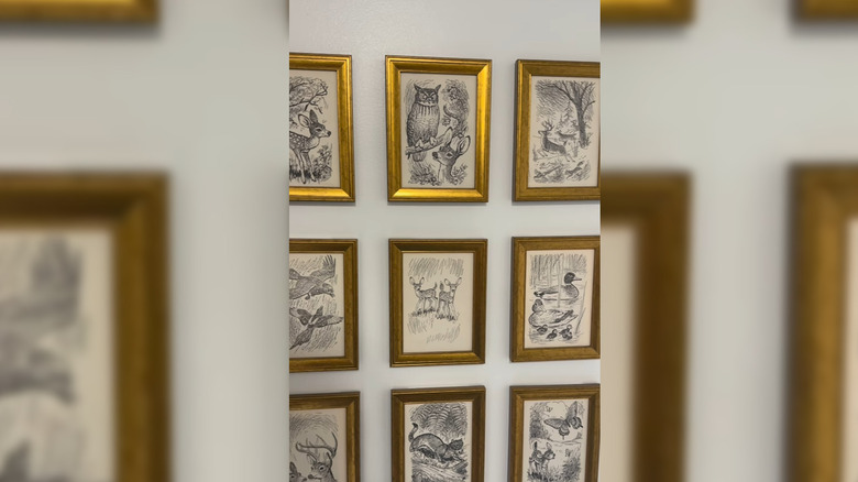 Framed black and white illustrations in gold frames on a gallery wall