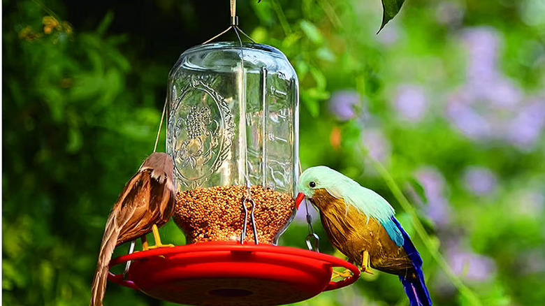 The NICERINC PET Birds Feeder for Outside Hanging