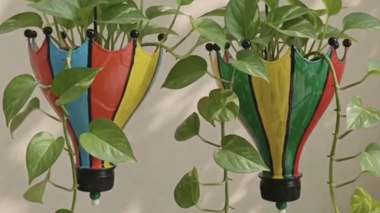 Two hanging plastic bottle planters that look like umbrellas filled with pothos plants.