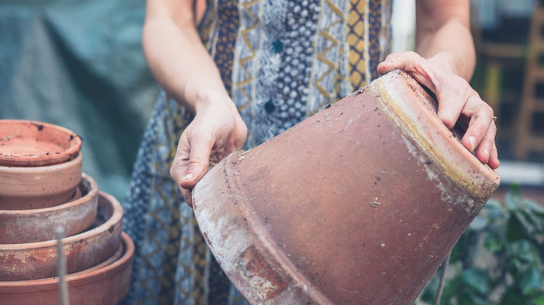 A woman holds an old terracotta pot while standing outdoors in the garden.