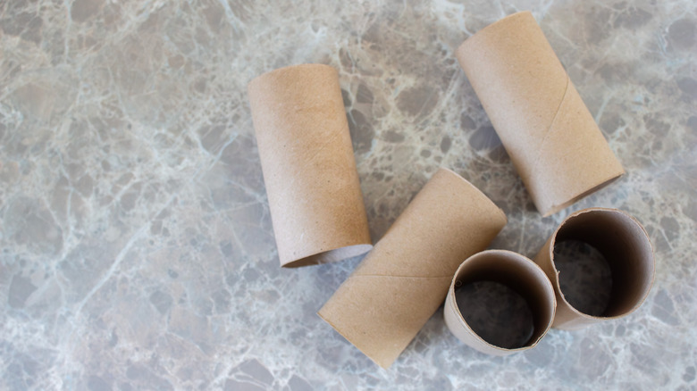 Toilet paper tubes lying on a marble table.
