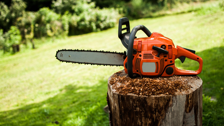 A chainsaw sits atop a freshly felled tree stump.