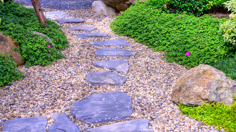 Large stepping stones running along a gravelled garden pathway