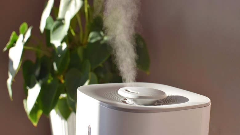 Close-up of a humidifier moistening the air indoors
