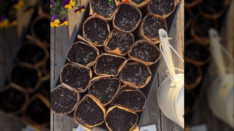 starter containers made from paper scraps