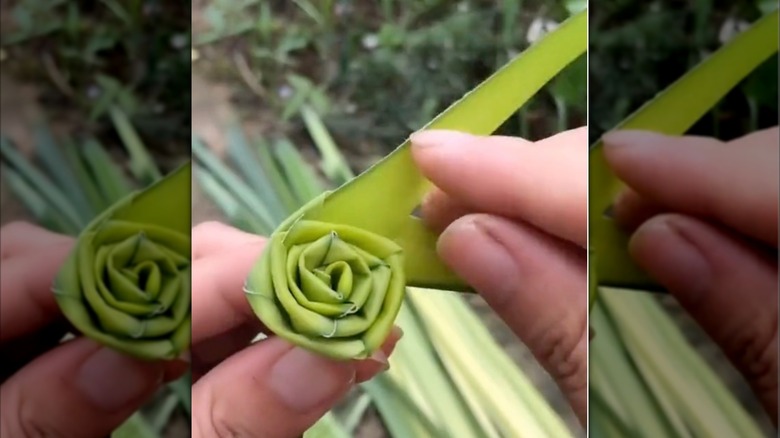 A hand folding a palm frond into a rose.