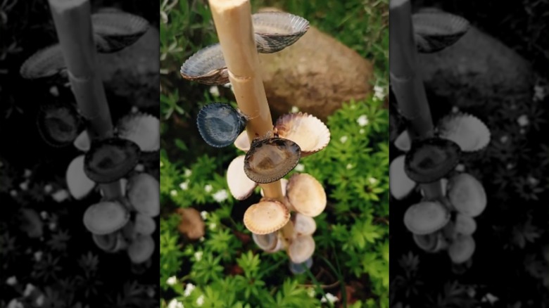 A water feature for bees and butterflies made of shells