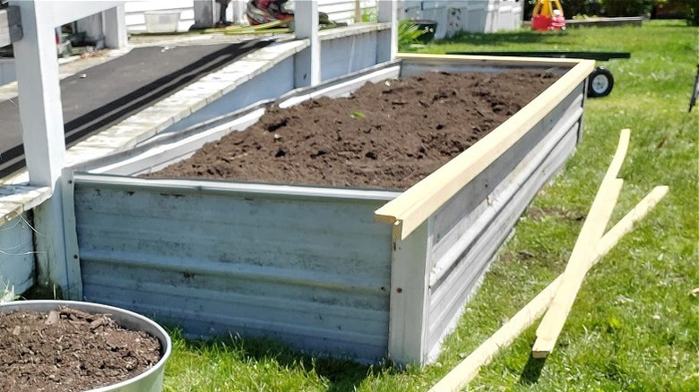 A newly built and soil-filled garden bed made from scrap metal.