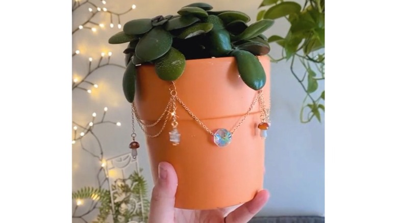 A plant in a terracotta pot with charms dangling around the edge