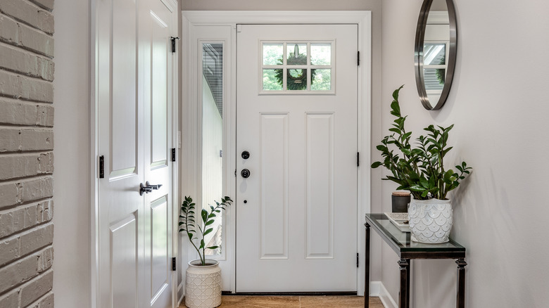 Narrow front entryway with white walls and doors and plants