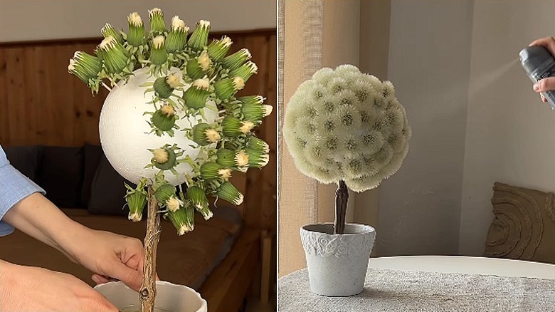 On the left, a foam ball partially covered with dandelion flowers; on the right, a topiary covered in puffballs being sprayed with hairspray