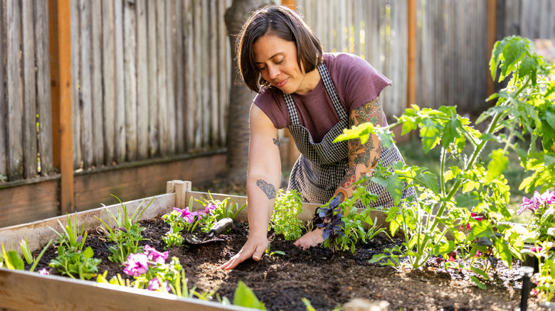 A woman working with plants in a wooden raised garden bed