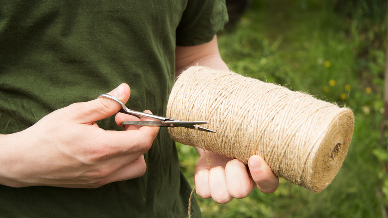 A person standing in a garden cuts twine from a large roll with a pair of scissors.