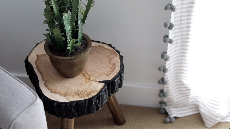 Potted indoor plant on DIY tree stump table with legs