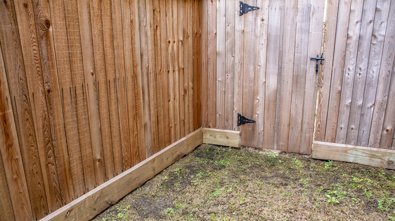 Small empty fenced in area with dead grass on ground