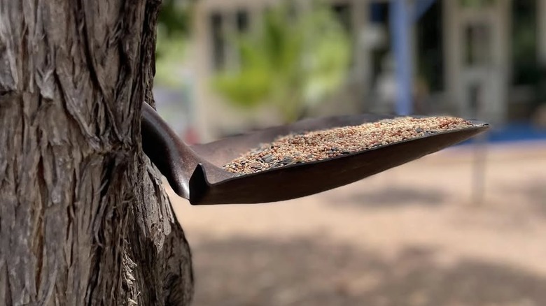 bird feeder made from shovel