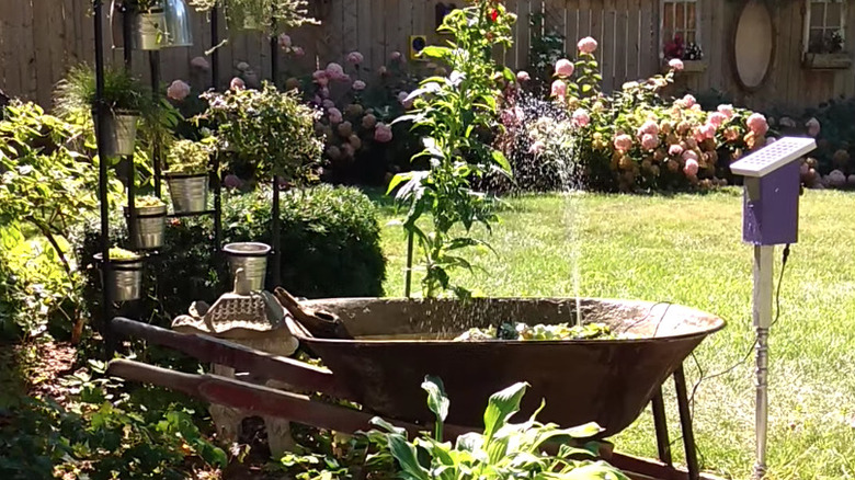 birdbath made from wheelbarrow