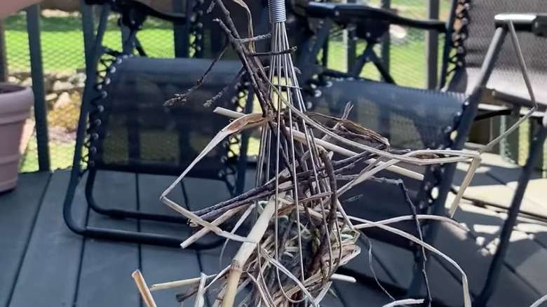 Bird nesting materials in whisk