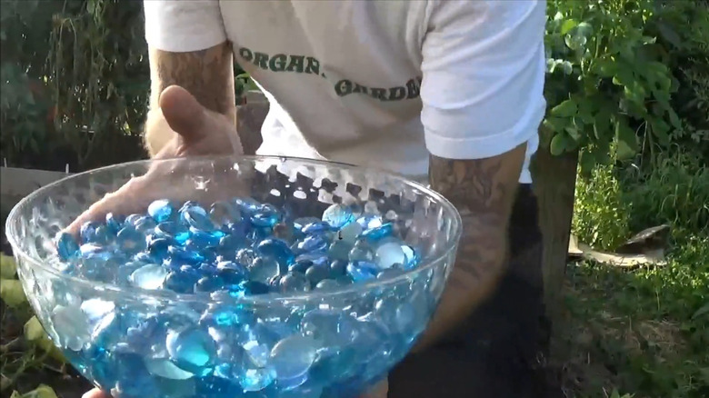 Bee watering dish with glass pebbles