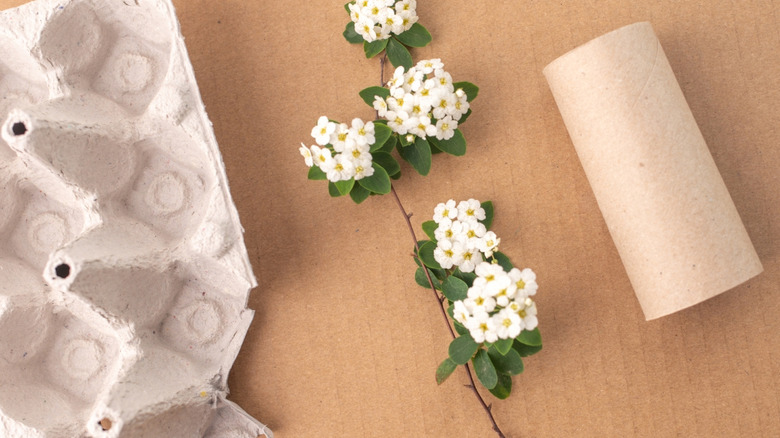 Toilet paper tube, an egg crate, and some flowers on cardboard