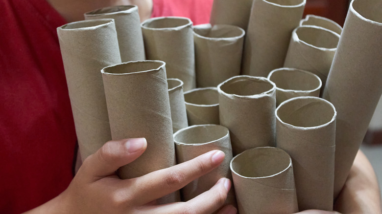 Person holding empty toilet paper tubes