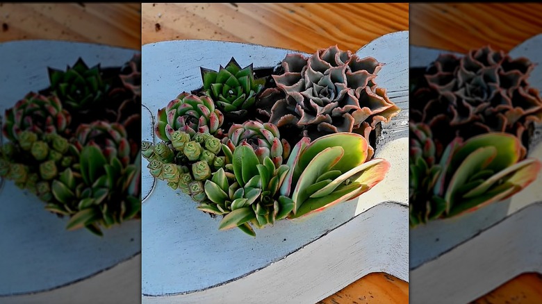 A guitar that has been turned into planter