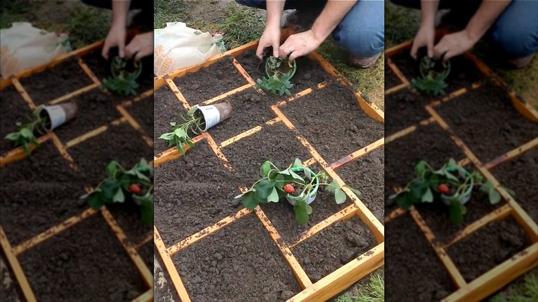 Turning a bookcase into a planter