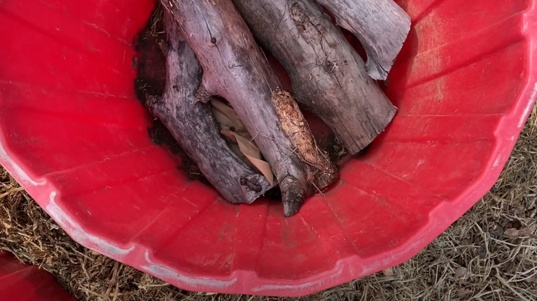 Chopped up logs at the bottom of a large red planter.