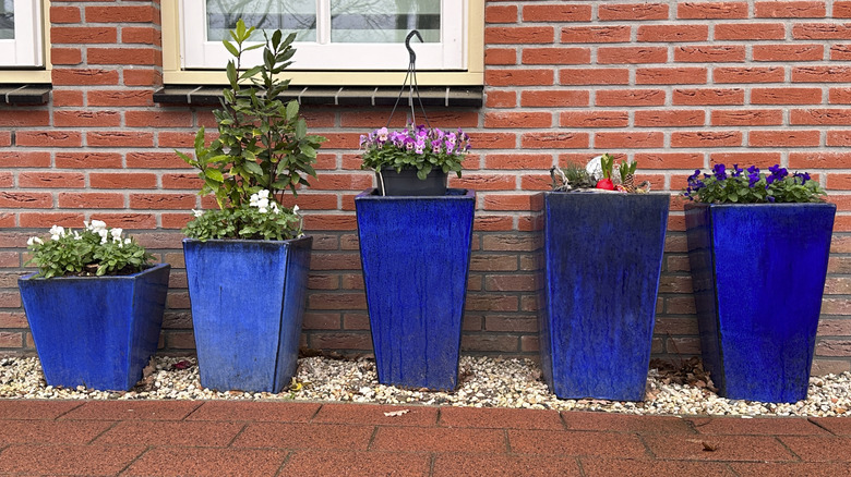 Large, blue ceramic planters with colorful flowers planted in them.