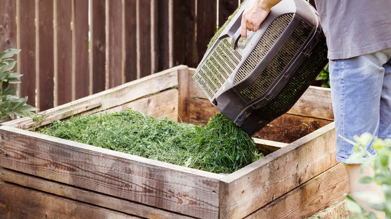 A person pouring yard waste into a large wooden planter.